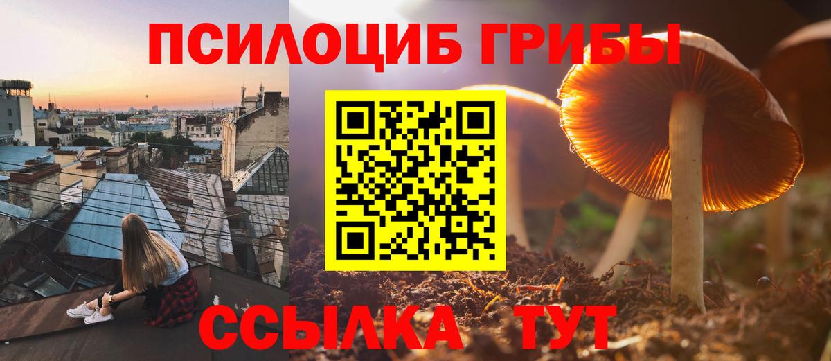 Новозыбков  Галлюциногенные грибы Magic Shrooms  Вход с VPN  Галлюциногенные грибы ЛСД 