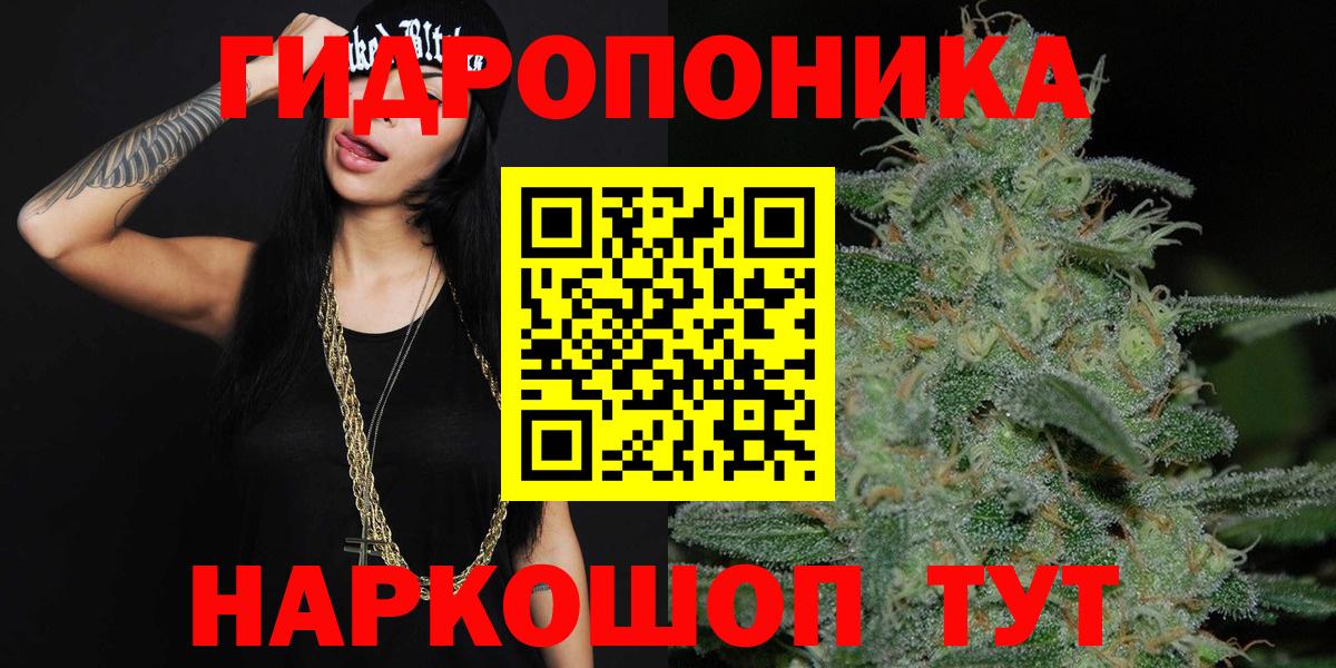 Каннабис LSD WEED  Вход с VPN  Новозыбков  МАРИХУАНА SATIVA & INDICA 